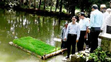 বন্যাকবলতি এলাকার জন্য আপদকালীন রোপা আমন ধানরে চারা উৎপাদন পদ্ধতি